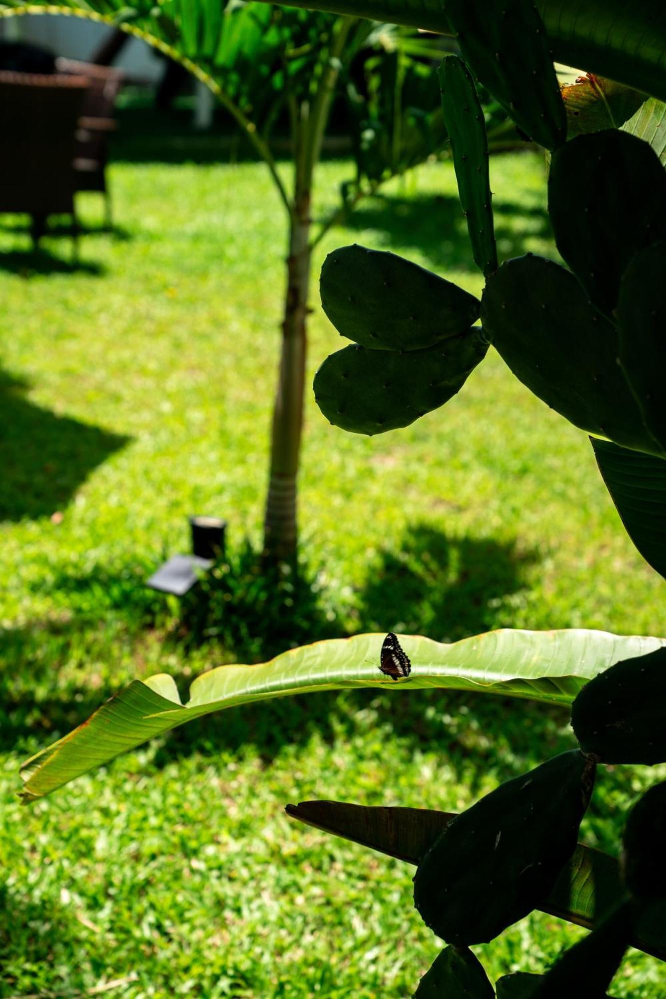 Koh Samui Resort & Restaurant Taling Ngam  Экстерьер фото